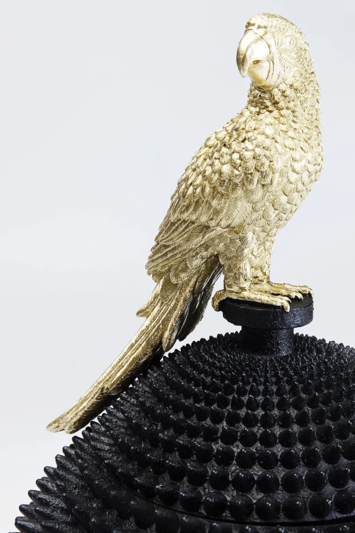 KARE24.se Dekor Skrin Parrot - KARE Design Outlet
