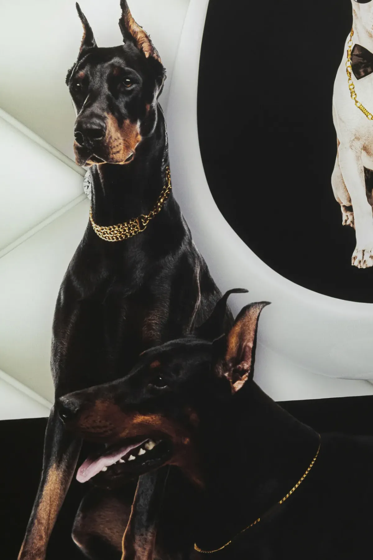 KARE24.se Glastavla Doberman Bodyguards 60x80cm - KARE Design Outlet