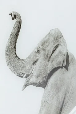KARE24.se Glastavla Elephant Shower, 60x80cm - KARE Design