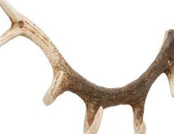 KARE24.se Hängare Antler - Horn, Natur, Lackerat Stål, 35cm - KARE Design Discount