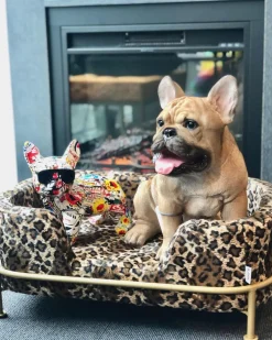 KARE24.se Hundbädd/Kattbädd Diva Leo - Leopardmönstrad - KARE Design Outlet
