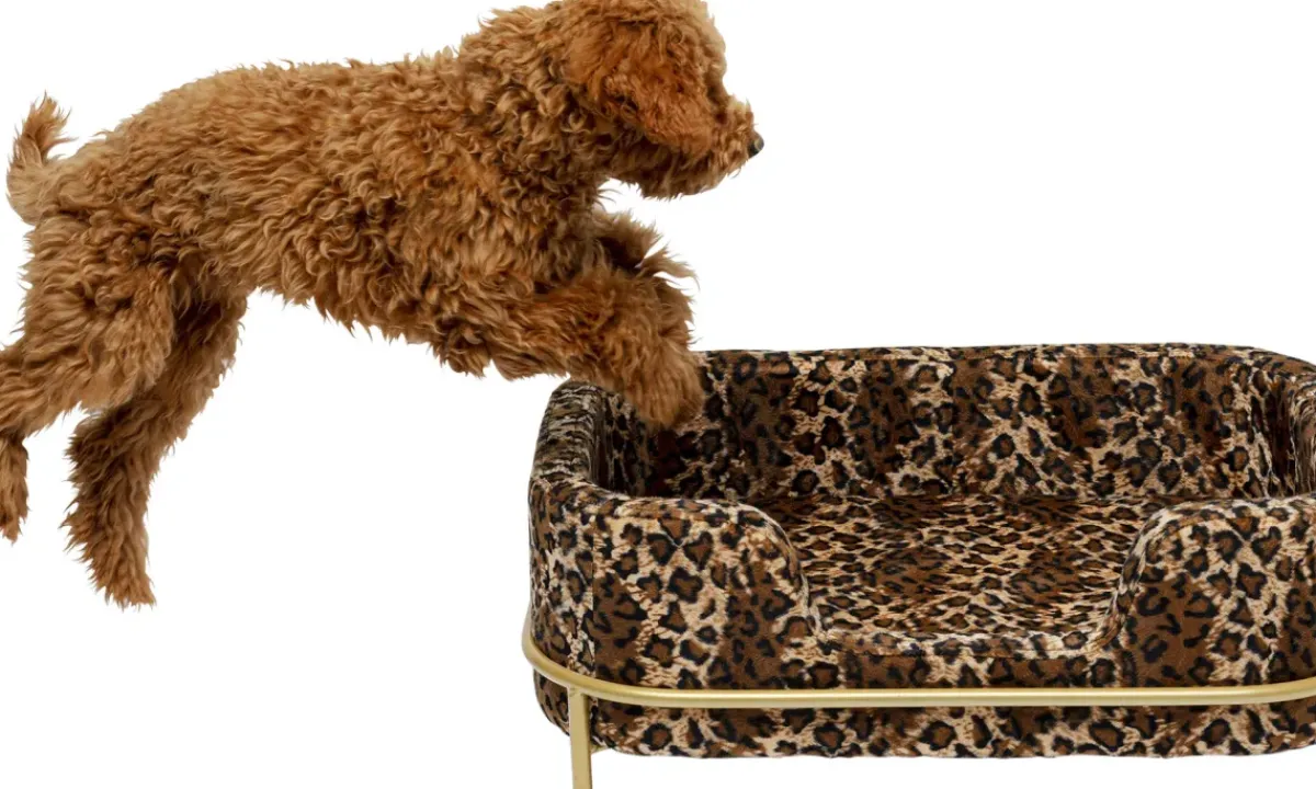 KARE24.se Hundbädd/Kattbädd Diva Leo - Leopardmönstrad - KARE Design Outlet