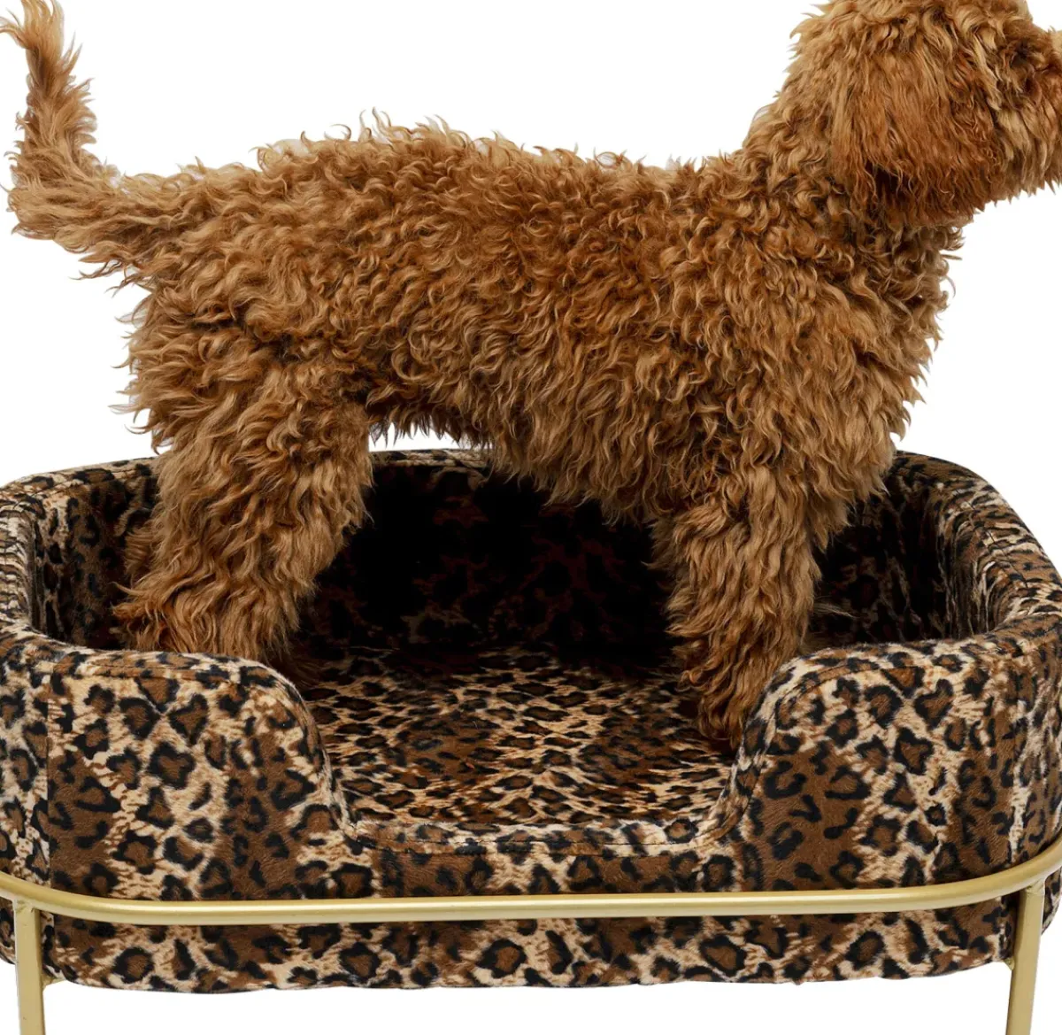 KARE24.se Hundbädd/Kattbädd Diva Leo - Leopardmönstrad - KARE Design Outlet
