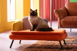 KARE24.se Hundbädd/Kattbädd Diva - Orange - KARE Design Sale