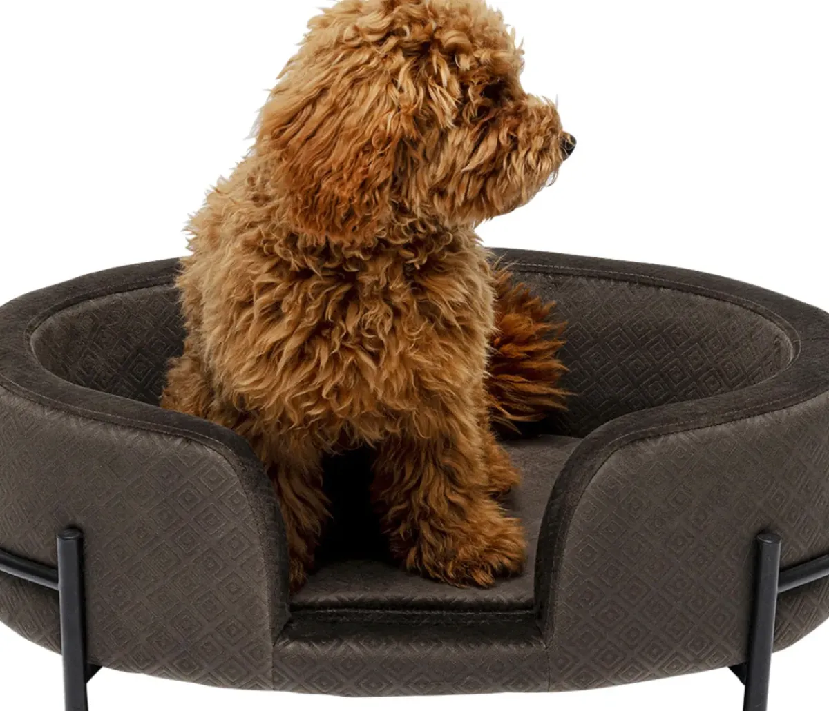 KARE24.se Hundbädd/Kattbädd Dream Day - Grå - KARE Design Hot
