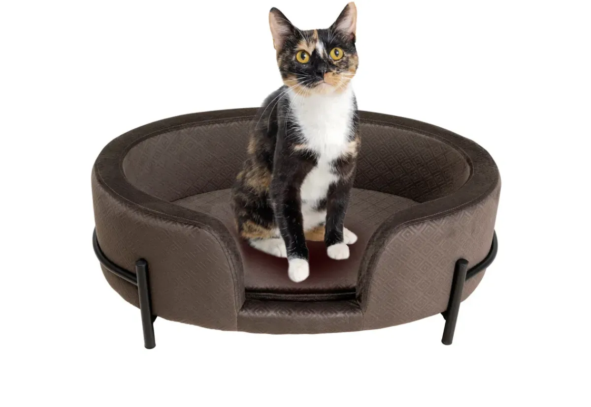 KARE24.se Hundbädd/Kattbädd Dream Day - Grå - KARE Design Hot