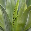 KARE24.se Konstväxt Agave - 40cm - KARE Design Best