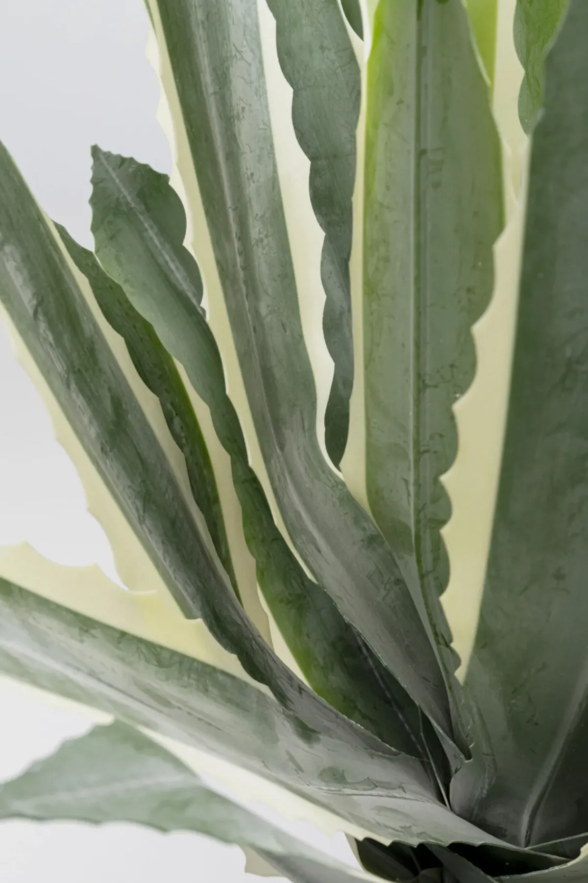 KARE24.se Konstväxt Agave - 50cm - KARE Design Best