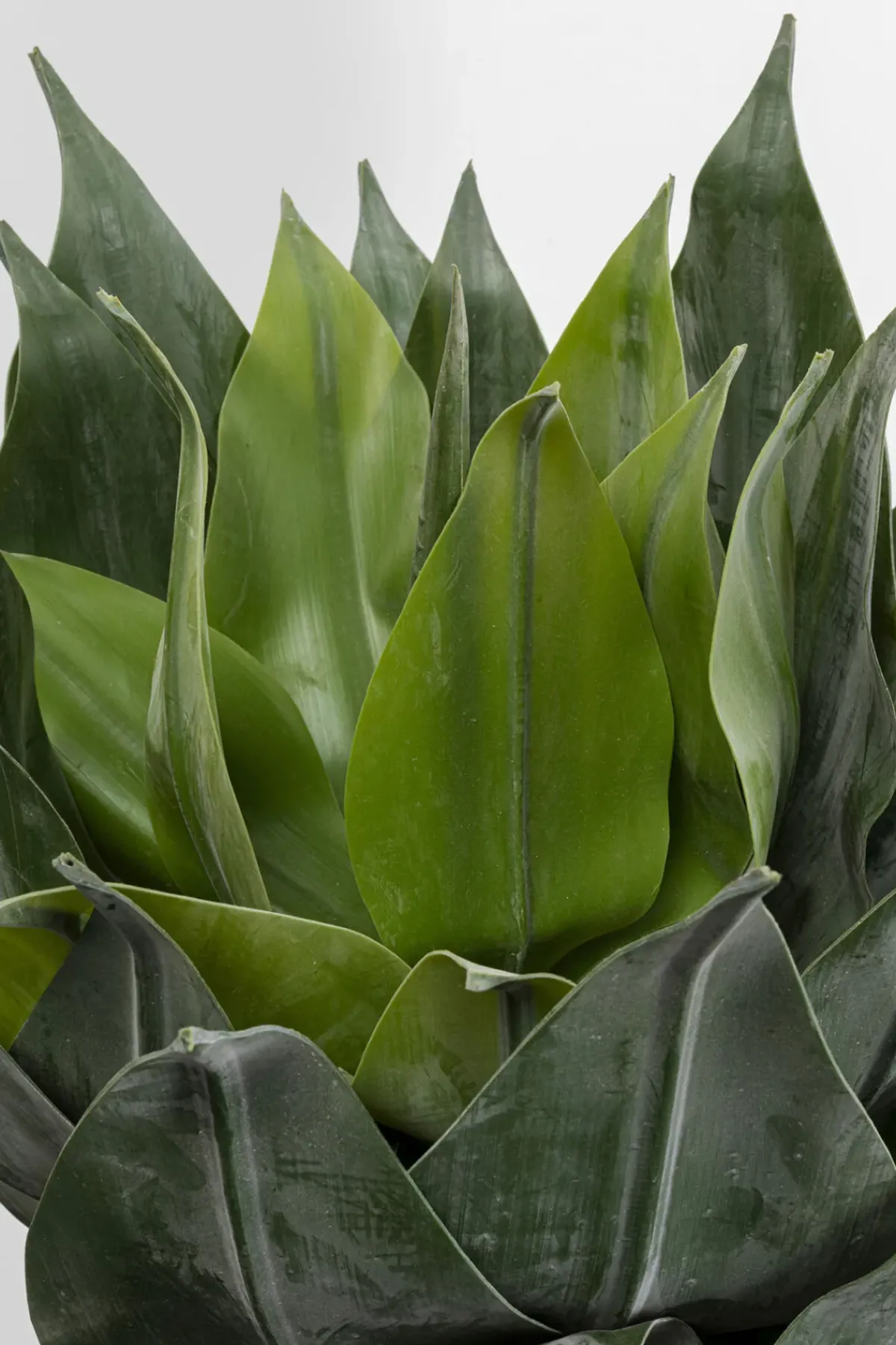 KARE24.se Konstväxt Agave - 120cm - KARE Design Online