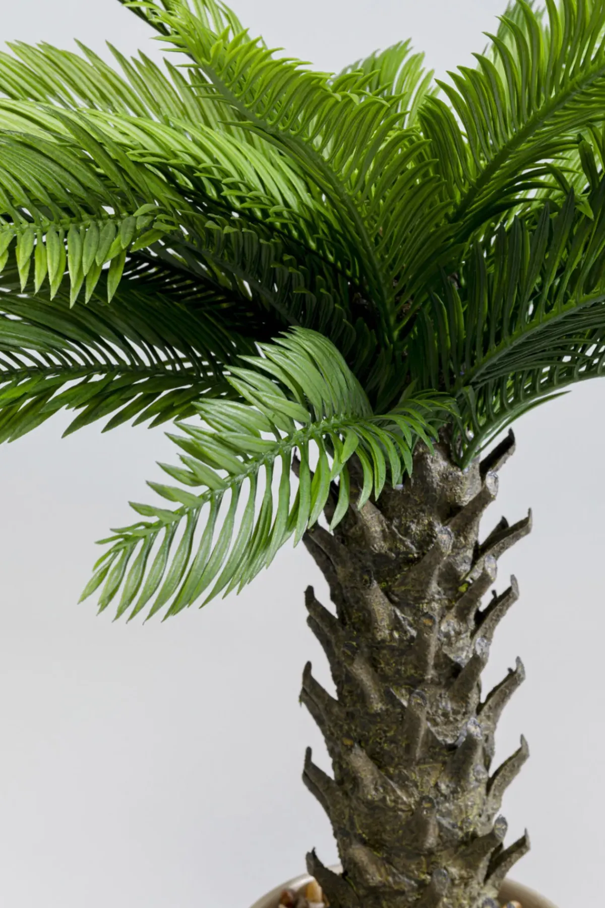 KARE24.se Konstväxt Cycas - 70cm - KARE Design Hot