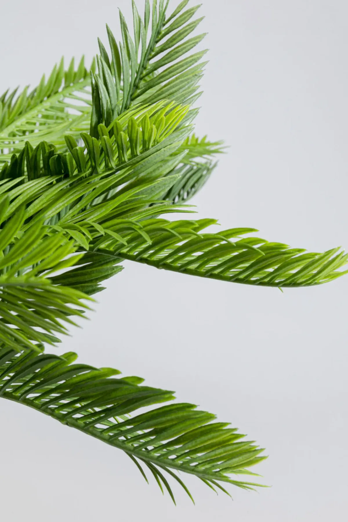 KARE24.se Konstväxt Cycas - 70cm - KARE Design Hot