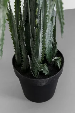 KARE24.se Konstväxt Dragon Tree - 155cm - KARE Design