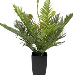 KARE24.se Konstväxt Farn - Ormbunke, 55cm - KARE Design New