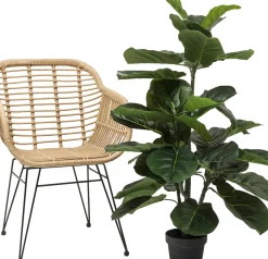 KARE24.se Konstväxt Fiddle Leaf - Fikus, 120cm - KARE Design Online