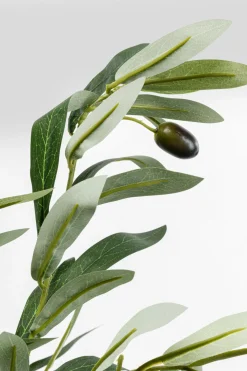 KARE24.se Konstväxt Olive Tree - Olivträd, 150cm - KARE Design