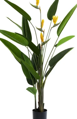 KARE24.se Konstväxt Paradise Flowers - Paradisets Fågelblomma, 190cm - KARE Design Best