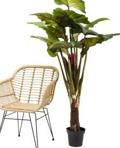 KARE24.se Konstväxt Rainforest, 160cm - KARE Design Best