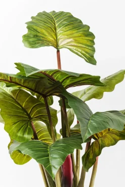 KARE24.se Konstväxt Rainforest, 160cm - KARE Design Best