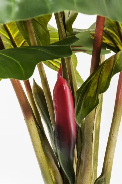 KARE24.se Konstväxt Rainforest, 160cm - KARE Design Best