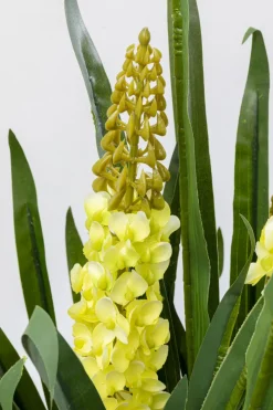 KARE24.se Konstväxt Rhynchostylis - Rävsvansorkidé, 150cm - KARE Design Discount
