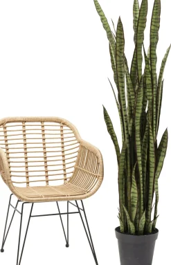 KARE24.se Konstväxt Sansewieria - Svärmorstunga, 155cm - KARE Design Outlet