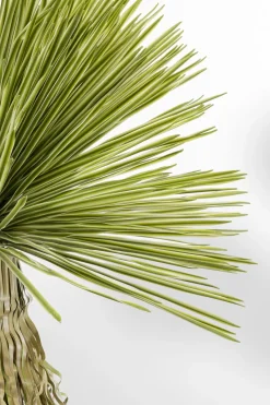 KARE24.se Konstväxt Yucca - 180cm - KARE Design