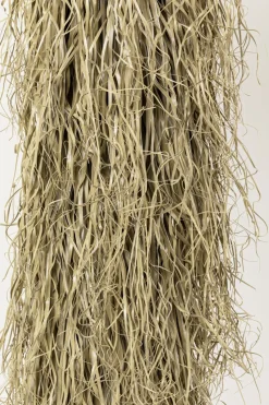 KARE24.se Kostväxt Yucca Rostrata, 240cm - KARE Design Outlet
