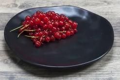 KARE24.se Tallrik Organic - Stengods Svart Ø20cm - KARE Design Hot