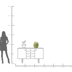KARE24.se Vas Carambola - Stjärnfrukt, grön, 37cm - KARE Design Sale
