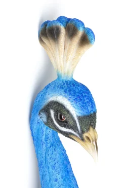 KARE24.se Väggdekoration Peacock - KARE Design Clearance