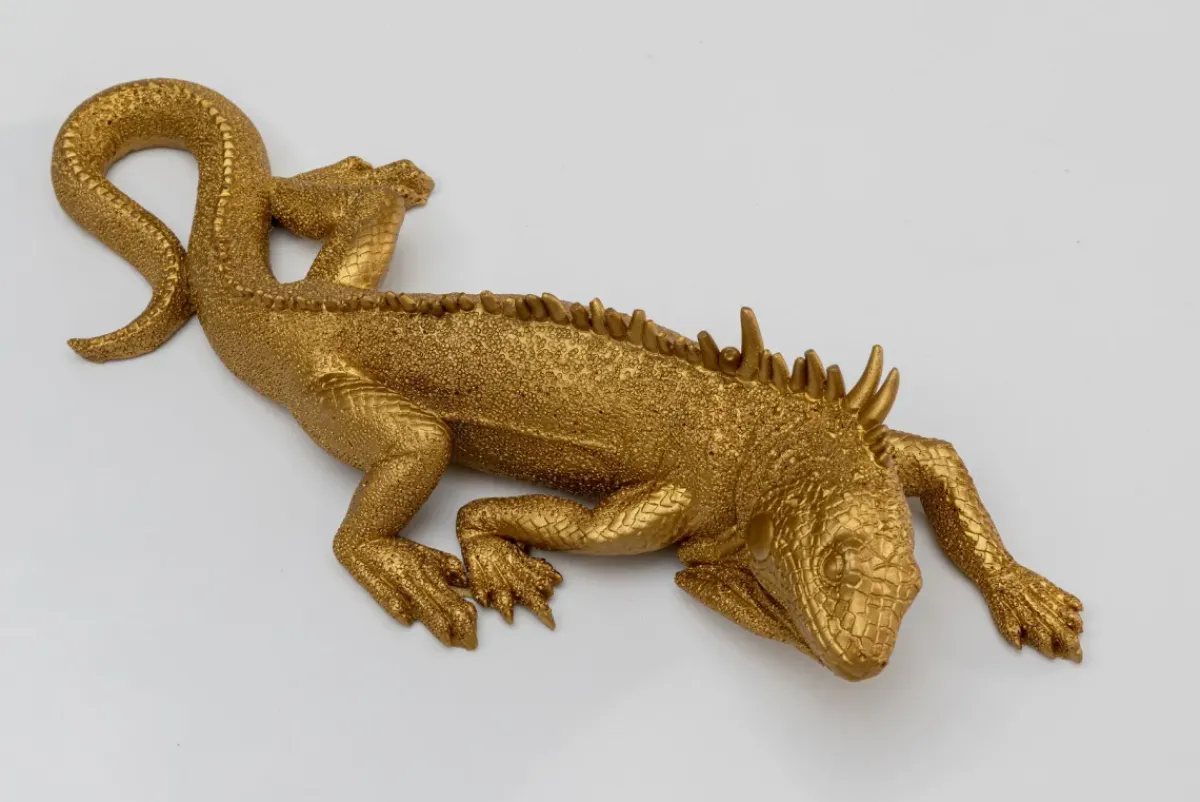 KARE24.se Väggdekor Lizard - Guld, 31cm - KARE Design Hot