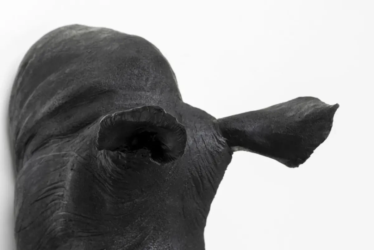 KARE24.se Väggdekor Rhino Trofé - KARE Design Discount